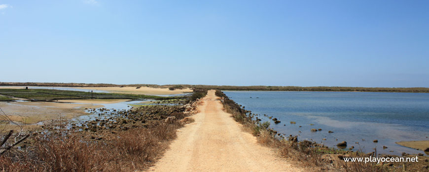 Access to Praia do Vale da Lama Beach