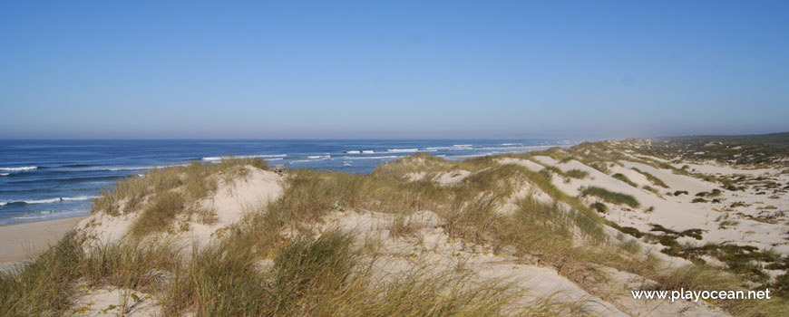 Dunas na Praia do Fausto (Norte)