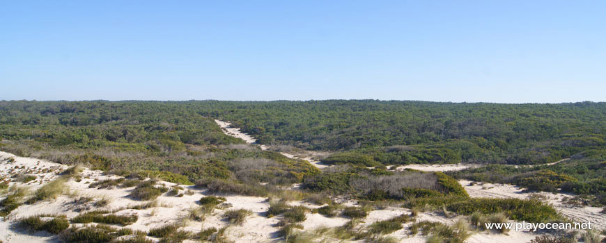 Access by the Pedrogão National Forest 