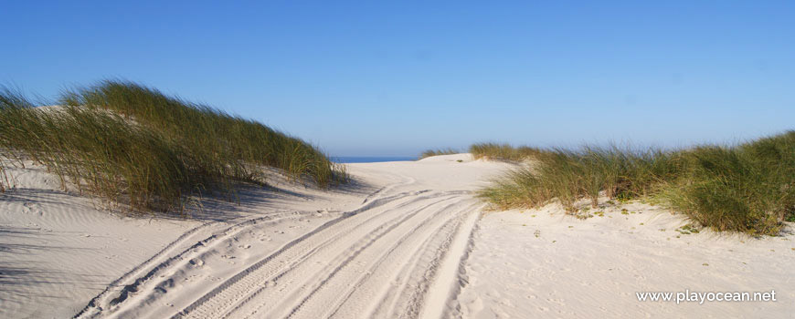 Dune at Praia do Fausto (South) Beach