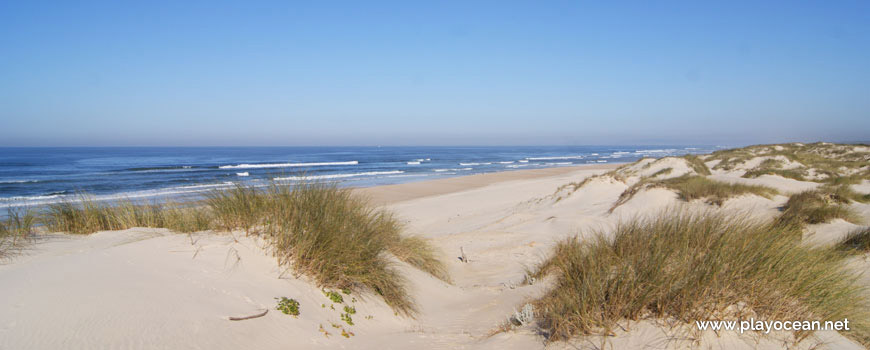 Praia do Fausto (South) Beach