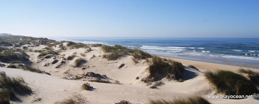 Sistema dunar, Praia do Fausto (Sul)