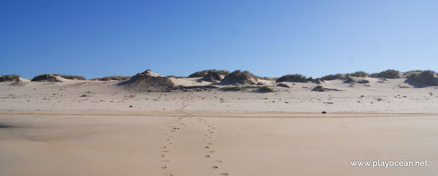 Praia do Fausto (South) Beach, dune
