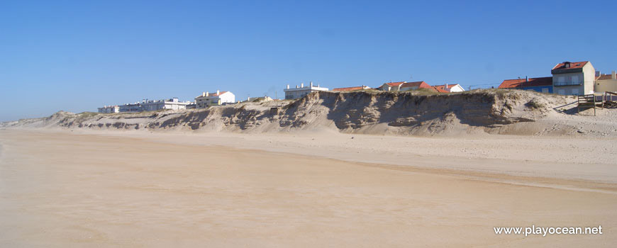 Dune, Praia do Pedrogão Beach