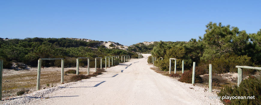 Caminho para a Praia do Vigão