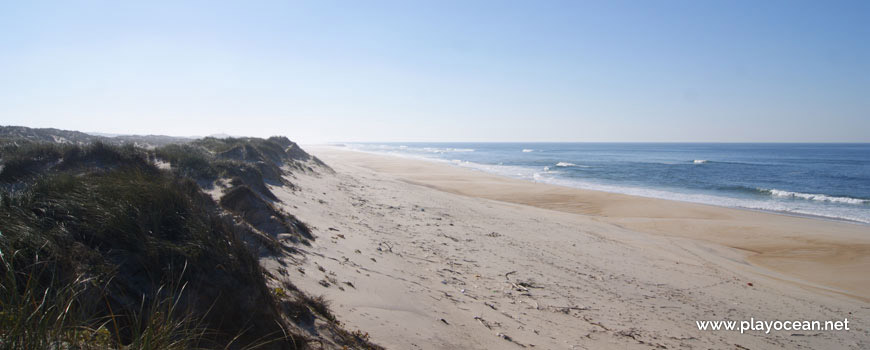 South of Praia do Vigão Beach