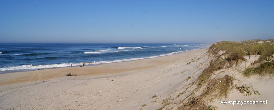 North of Praia do Vigão Beach