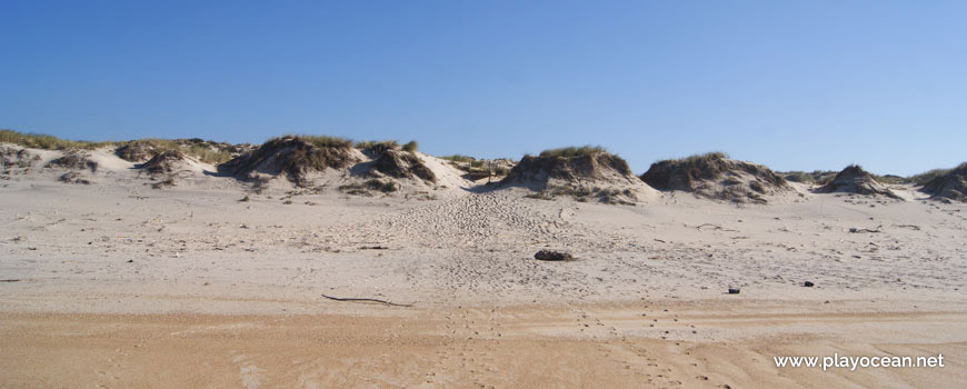 Dune at Praia do Vigão Beach