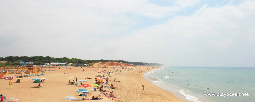 Este na Praia do Forte Novo