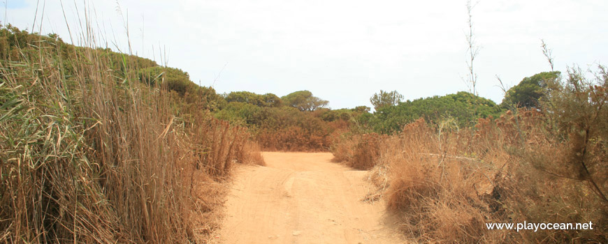 Acesso à Praia do Trafal