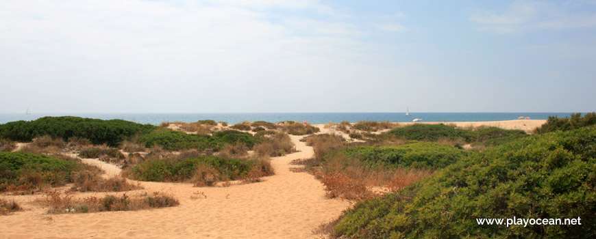 Trail at Praia do Trafal Beach