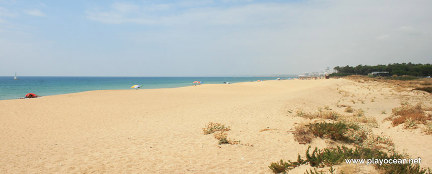 Oeste na Praia do Trafal