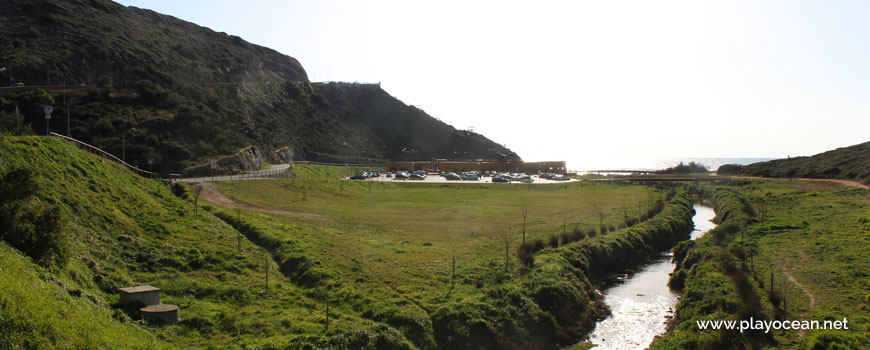 Vegetation at Praia de Ribeira dIlhas Beach