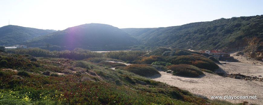 Vegetação na Praia de São Julião