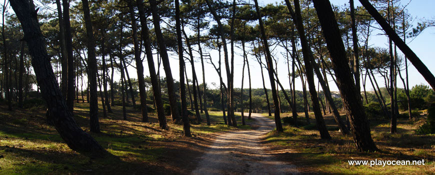 Path to Praia do Samouco Beach