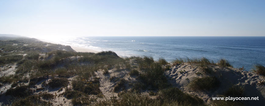 Dunes of Praia do Samouco Beach