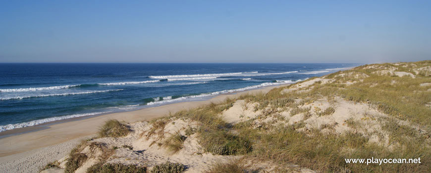 Praia do Samouco Beach