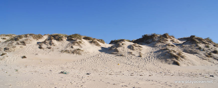 Dune at Praia do Samouco Beach
