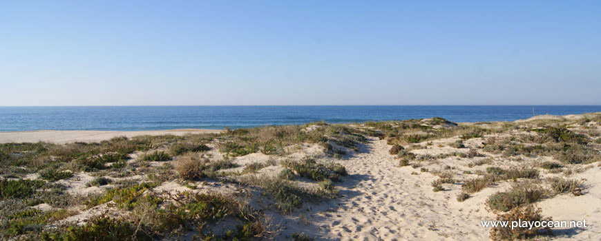 Duna na Praia Velha