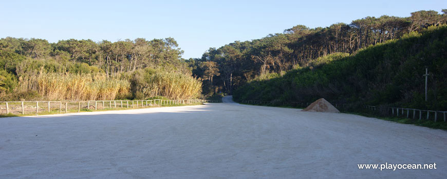 Saída da Praia Velha