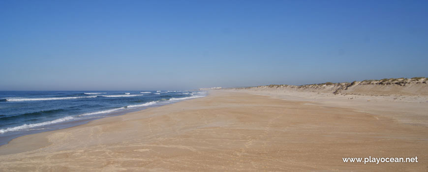 North of Praia da Vieira (North) Beach