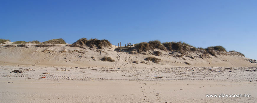 Dune, Praia da Vieira (North) Beach