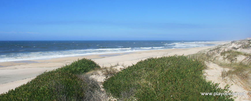 North of Praia de Mira (South) Beach