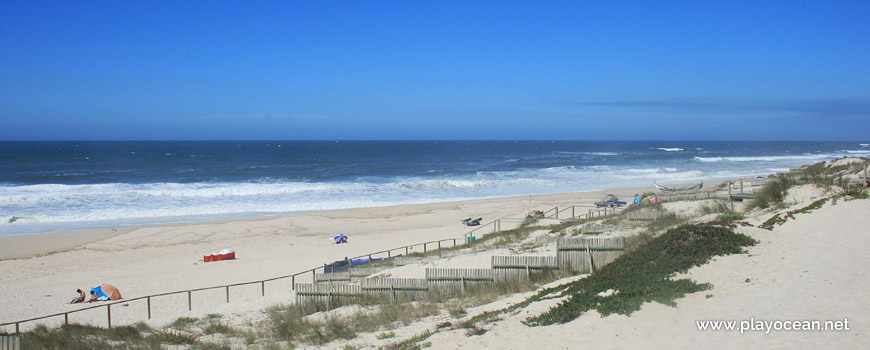 Dunes of Praia de Mira Beach