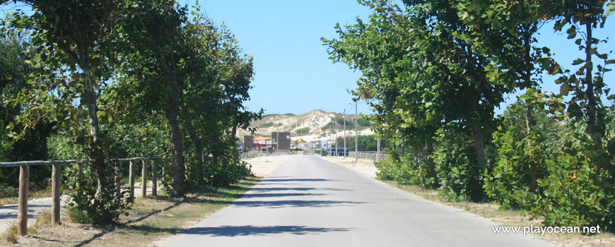 Estrada para a Praia do Poço da Cruz