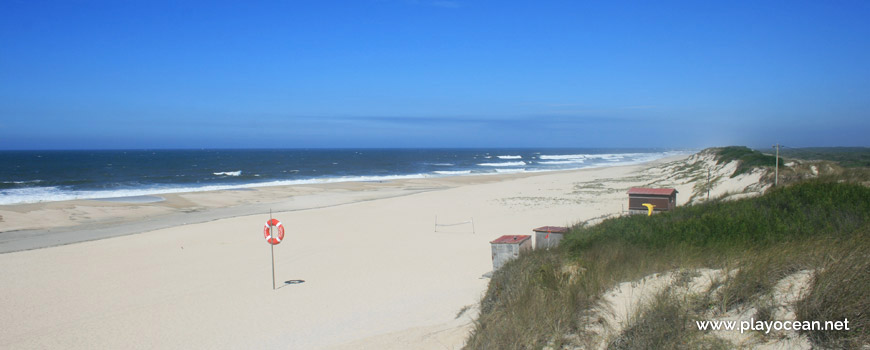 North, Praia do Poço da Cruz Beach