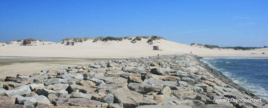 Dune of Praia do Poço da Cruz Beach