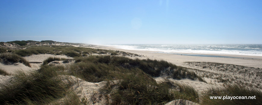 Dunas na Praia da Colónia de Férias