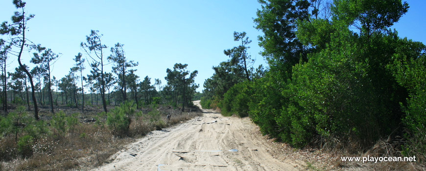 Path to Praia da Gaivina Beach