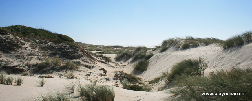 Dunes of Praia da Gaivina Beach