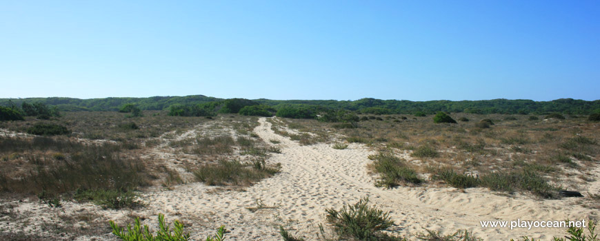 Path to Praia de Muranzel Beach