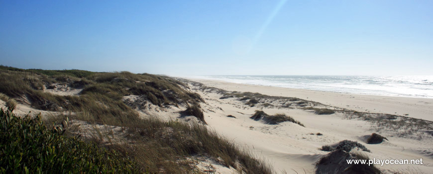 Dunes of Praia de Muranzel Beach