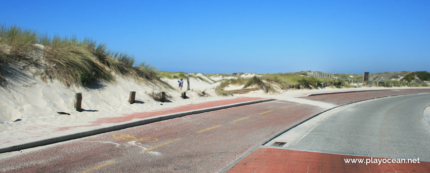 Bicycle lane of Praia da Torreira Beach