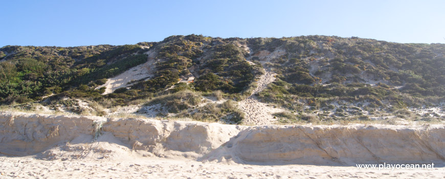 Duna, Praia da Areeira