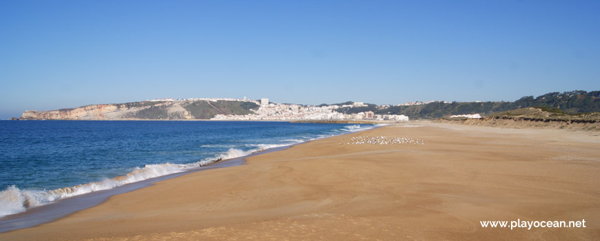 North at Praia da Entrada do Porto Beach