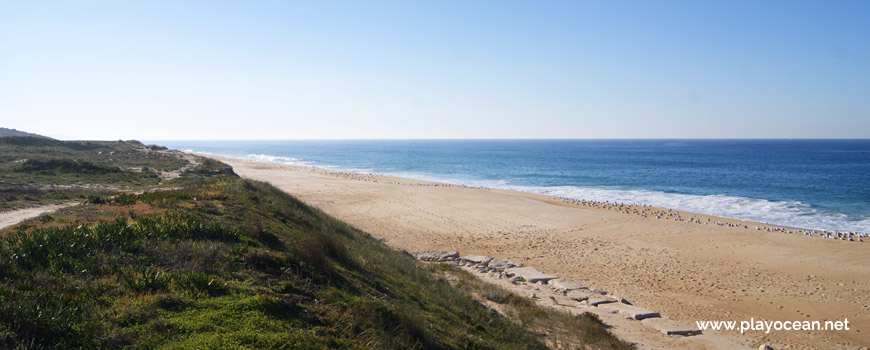 Praia da Entrada do Porto