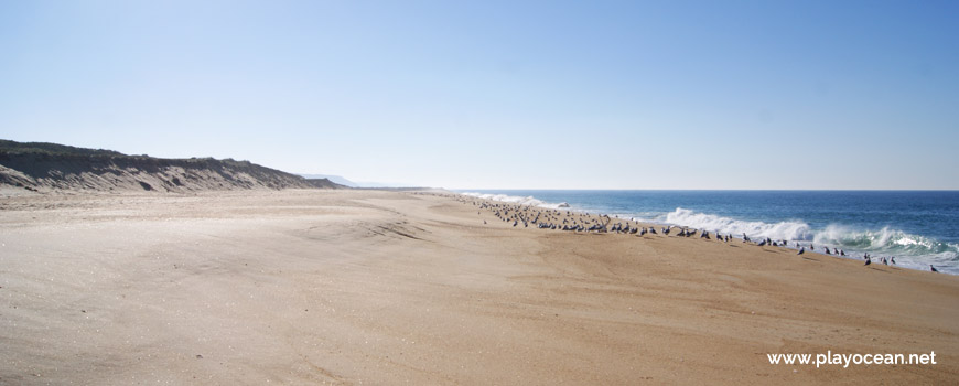 South at Praia da Entrada do Porto Beach