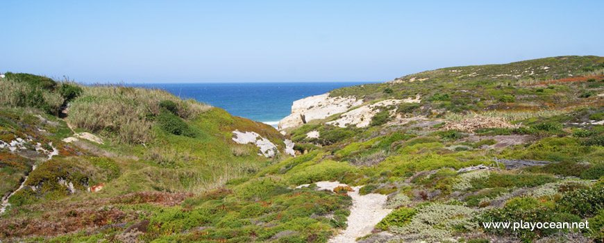 Vegetation near Praia do Barroco da Adega Beach