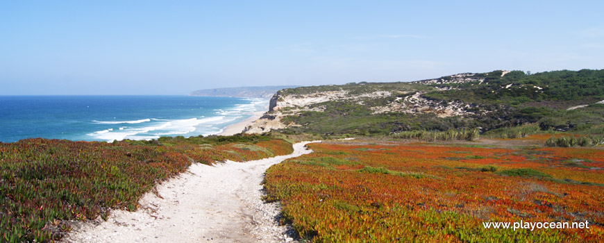 Path to Praia da Fincha Grande Beach