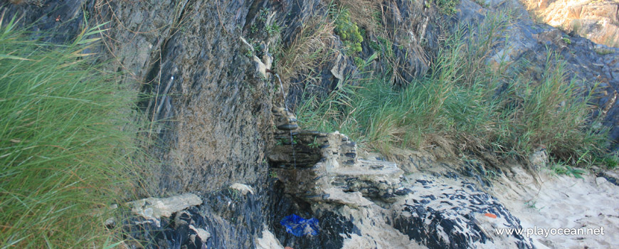 East on the cliff, Praia de Almograve Beach