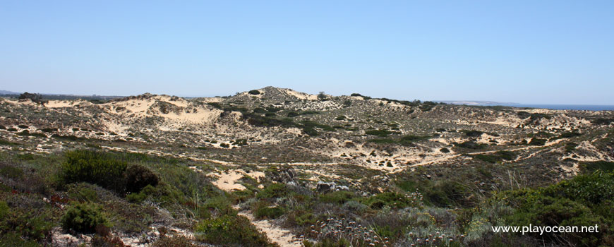 Dunes at Praia da Angra da Cerva Beach