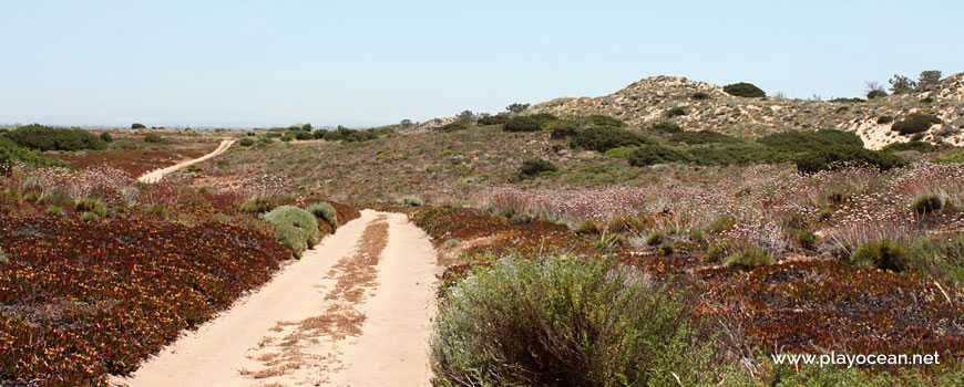 Acesso à Praia do Burdo