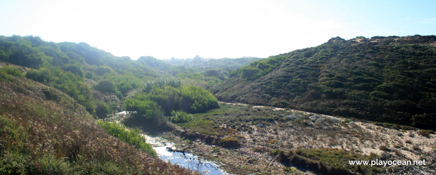 Leito da Ribeira da Foz dos Ouriços