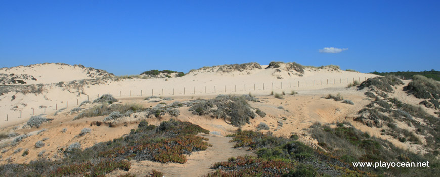 Dunas, Praia do Malhão (Centro)