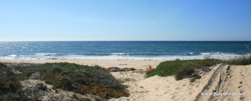 Praia dos Nascedios