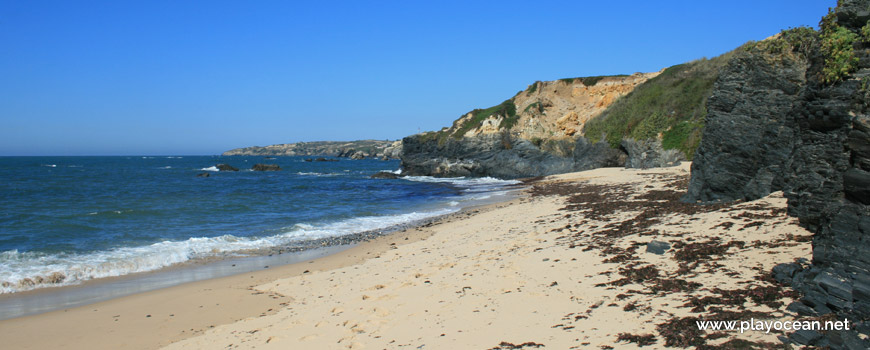 Sargaço na Praia do Patacho